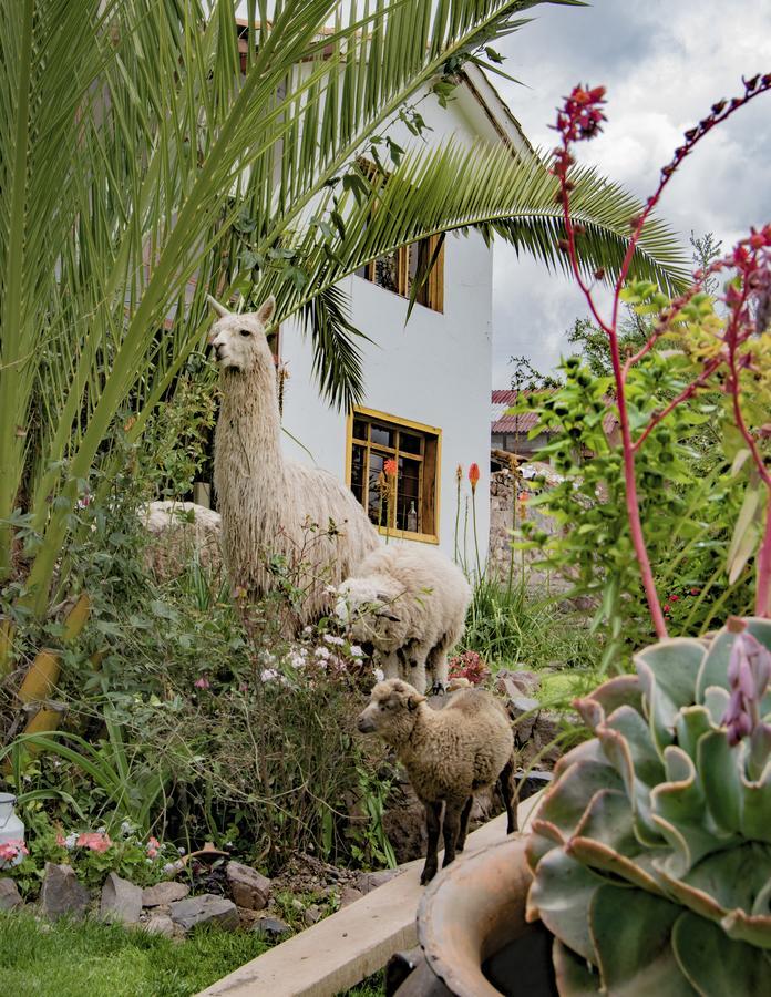 Inkita Boutique Guesthouse 库斯科 外观 照片