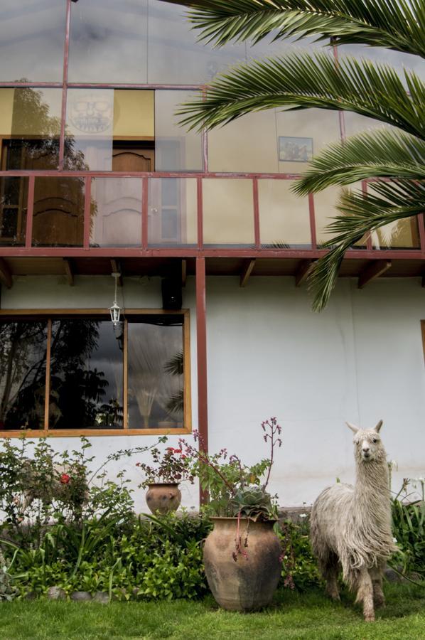 Inkita Boutique Guesthouse 库斯科 外观 照片